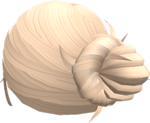 Messy Bun PNG