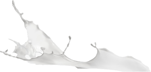 Milk Splash PNG