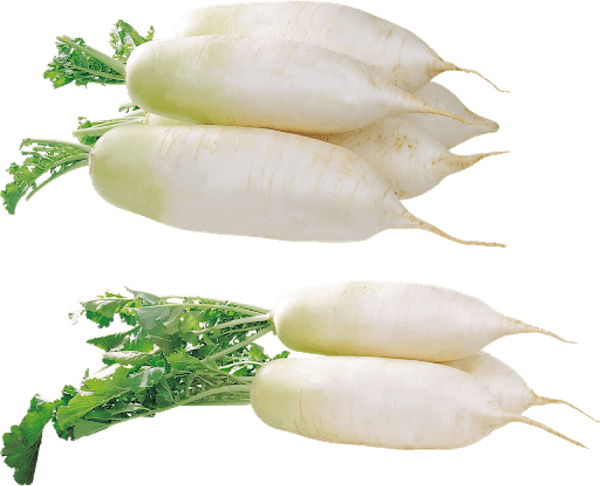 Raddish PNG