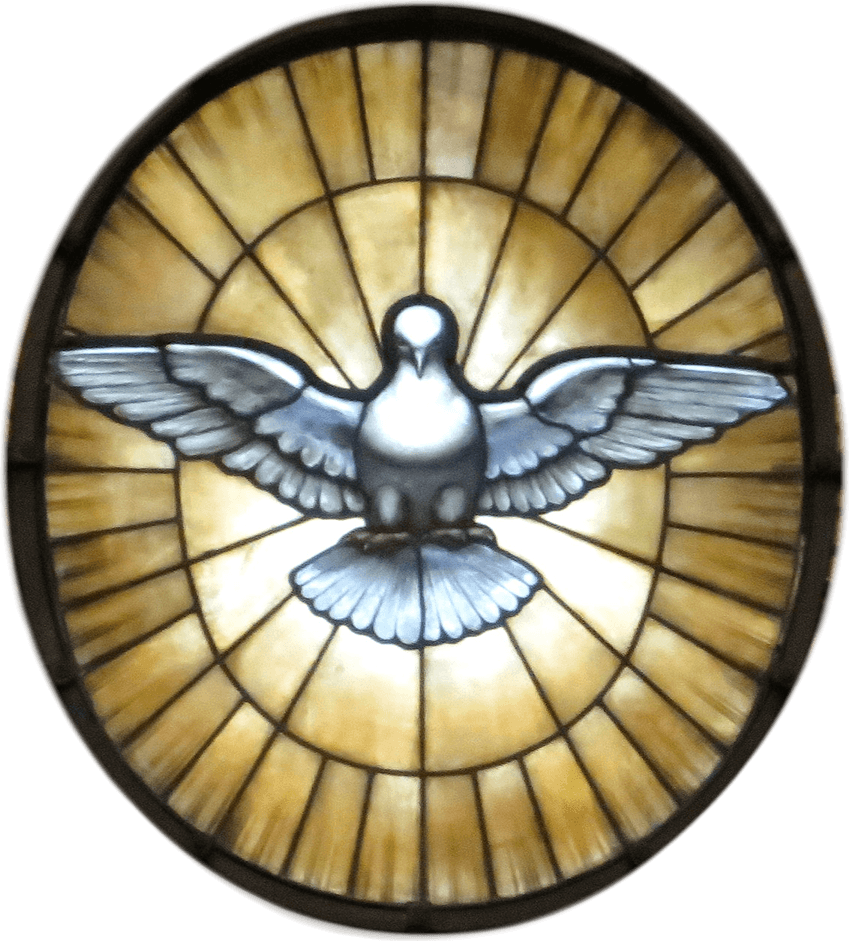 Holy Spirit Dove PNG