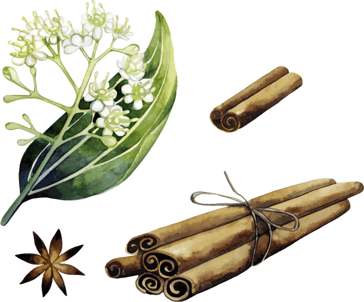 Cinnamon PNG