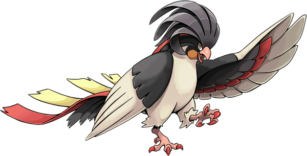 Pidgeotto Pokemon PNG