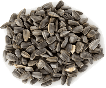 Sunflower Seeds PNG