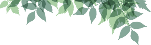 Forestry PNG