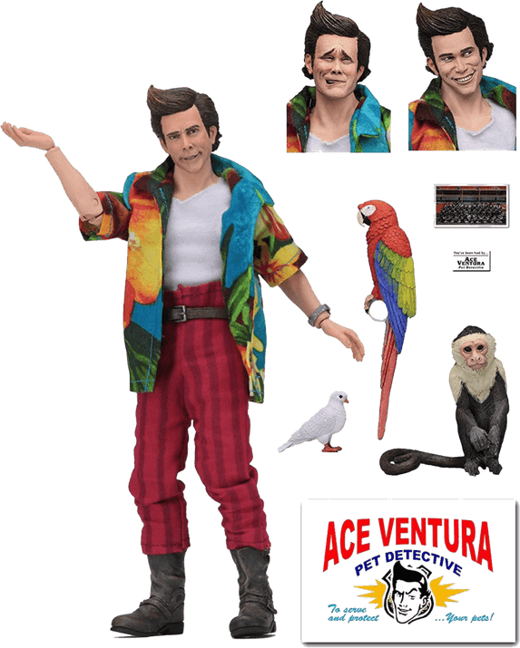 Ace Ventura Pet Detective PNG