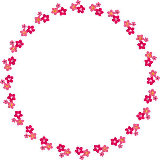 Pink Flower Circle PNG