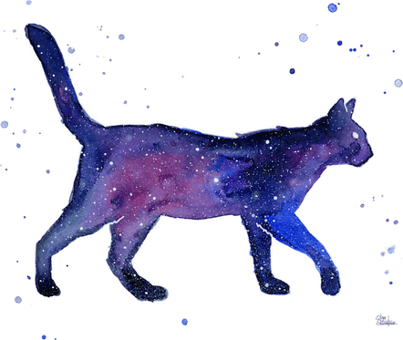 Space Cat PNG