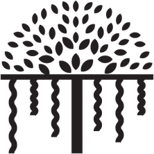 Banyan Tree PNG