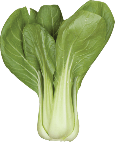 Bok Choy PNG
