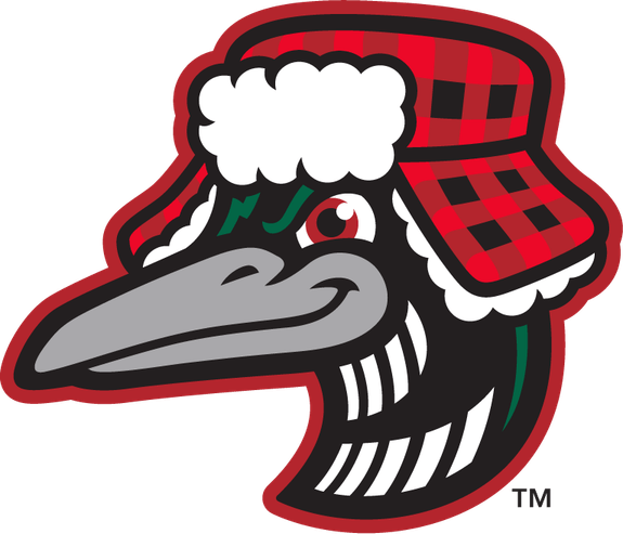 Great Lakes Loons PNG