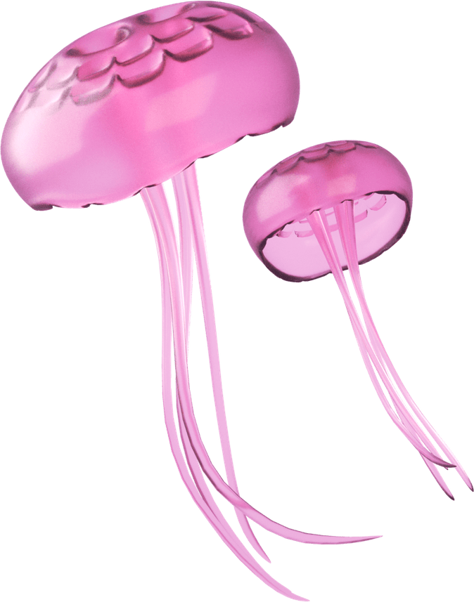 Jellyfish PNG