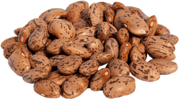 Pinto Beans PNG