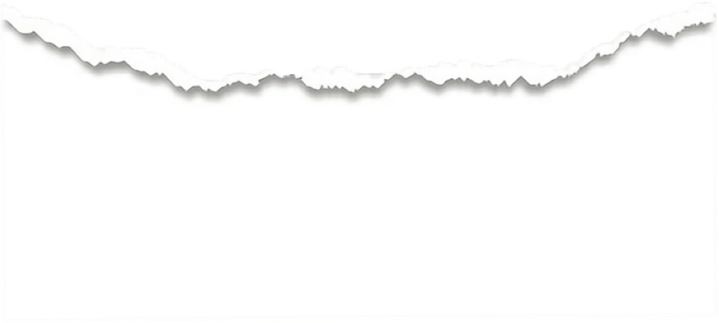 Page Rip PNG