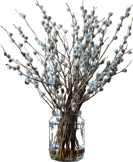 Dry Flower PNG