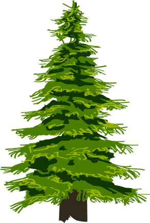 Cartoon Evergreen Tree PNG