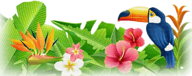 Tropical Flowers Border PNG