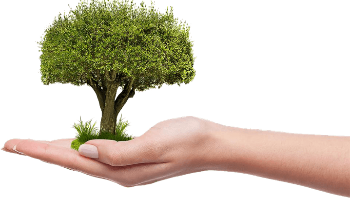 Save Tree PNG