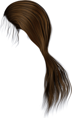 Ponytail PNG