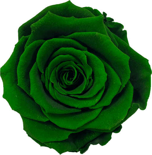 Emerald Green Flower PNG