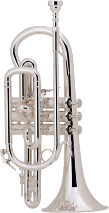 Cornet Musical Instrument PNG
