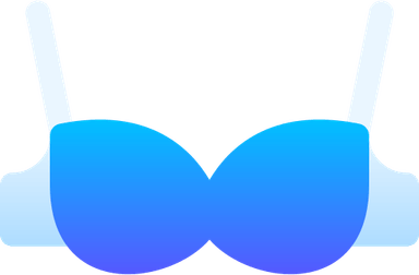 Brassiere PNG