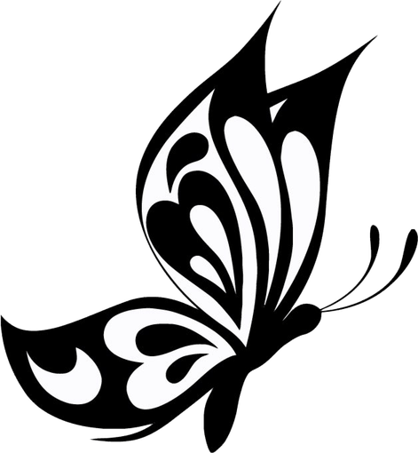 Butterfly Black And White PNG