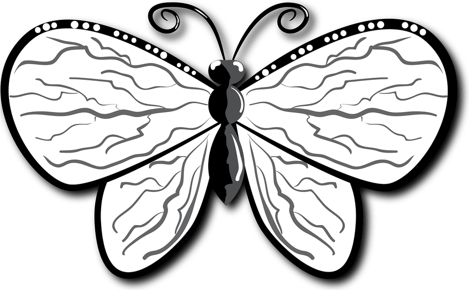 Black And White Butterfly PNG