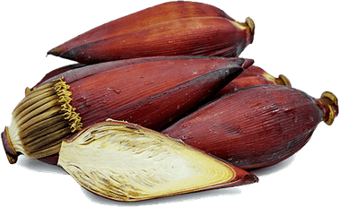 Raw Banana Flower PNG