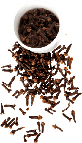 Clove PNG