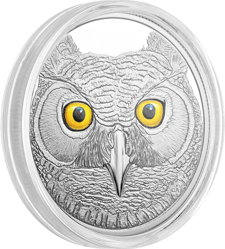 Owl Eyes PNG