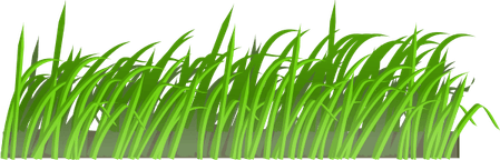 Grass Texture PNG