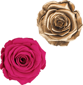 Paper Rose PNG