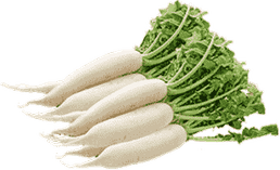 Raddish PNG
