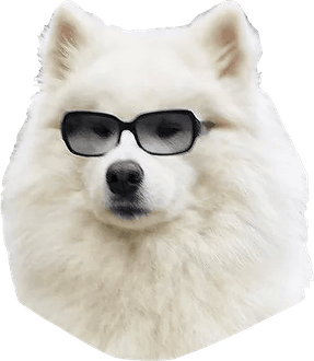 Samoyed Dog PNG
