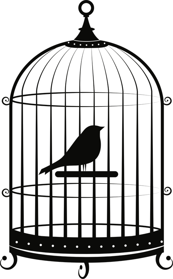 Cage PNG