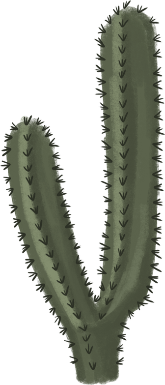 Cartoon Cactus PNG