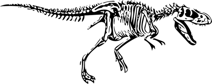 Fossils PNG
