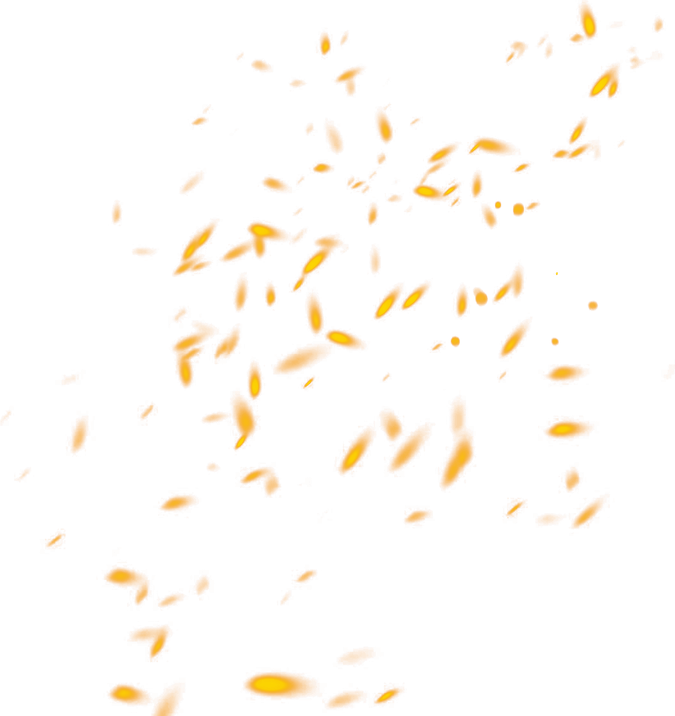 Fire Sparks PNG