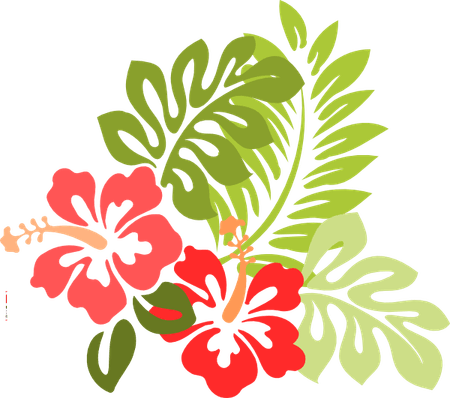 Tropical Border PNG