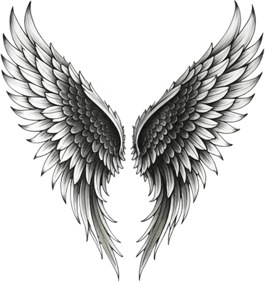 Eagle Wing PNG