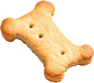 Biscuit Dog PNG