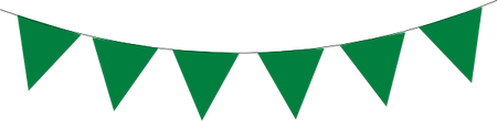Green Flag PNG
