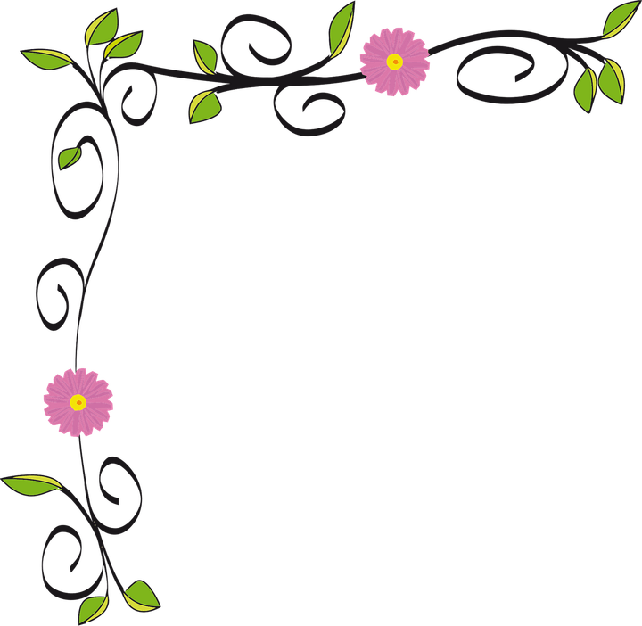 3d Flower Border PNG