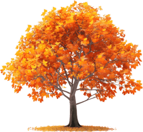 Fall Tree PNG
