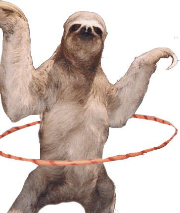 Sloth PNG