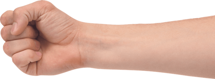 Female Hand PNG
