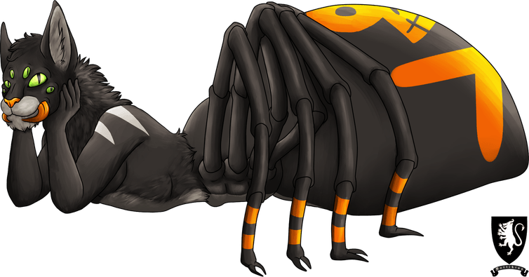Spider Cat PNG