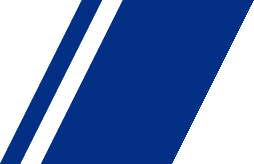 Racing Stripes PNG