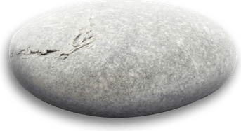 Pebble Stone PNG