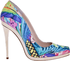 Women Shoes PNG